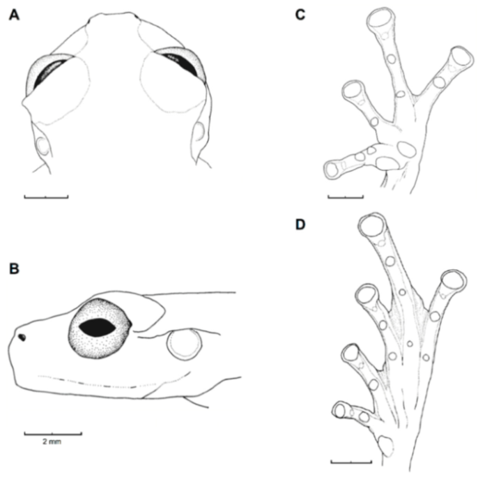 Diversity 12 00222 g188 Diversity 12 00222 g188