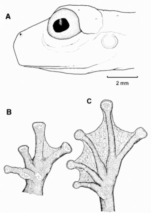 Diversity 12 00222 g191 Diversity 12 00222 g191