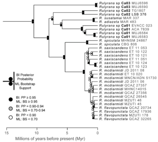 Diversity 12 00222 g195