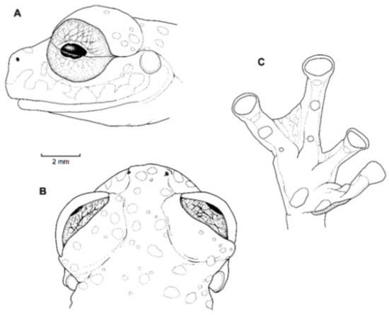 Diversity 12 00222 g199