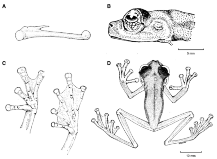 Diversity 12 00222 g202 Diversity 12 00222 g202
