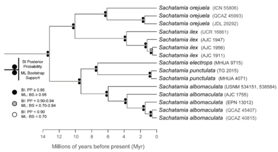 Diversity 12 00222 g204