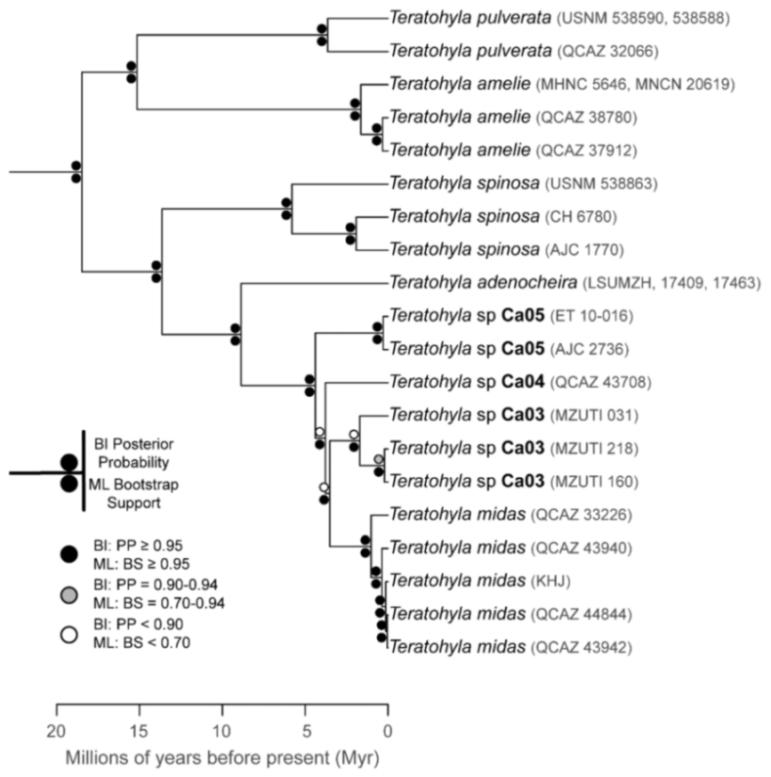 Diversity 12 00222 g210 Diversity 12 00222 g210