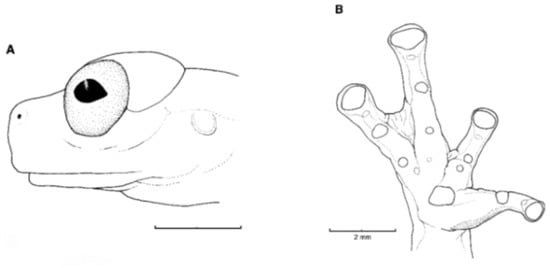 Diversity 12 00222 g212