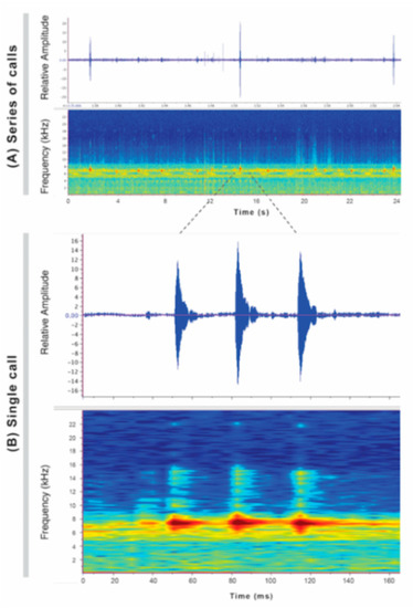 Diversity 12 00222 g213