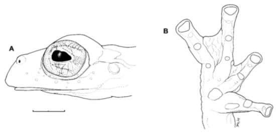 Diversity 12 00222 g216