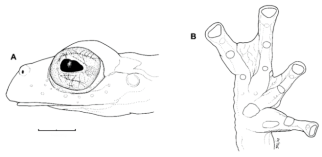Diversity 12 00222 g216 Diversity 12 00222 g216