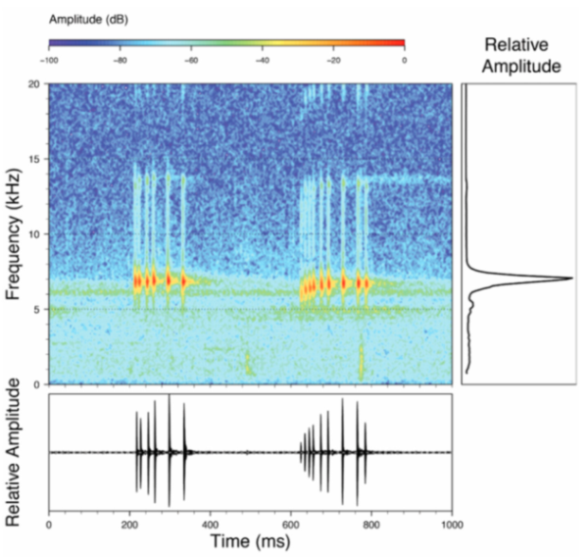 Diversity 12 00222 g220 Diversity 12 00222 g220