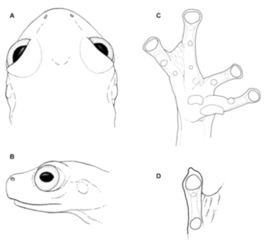 Diversity 12 00222 g223 Diversity 12 00222 g223