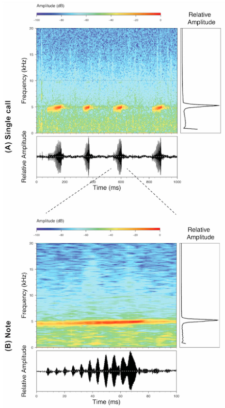 Diversity 12 00222 g225 Diversity 12 00222 g225