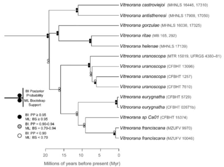 Diversity 12 00222 g227 Diversity 12 00222 g227