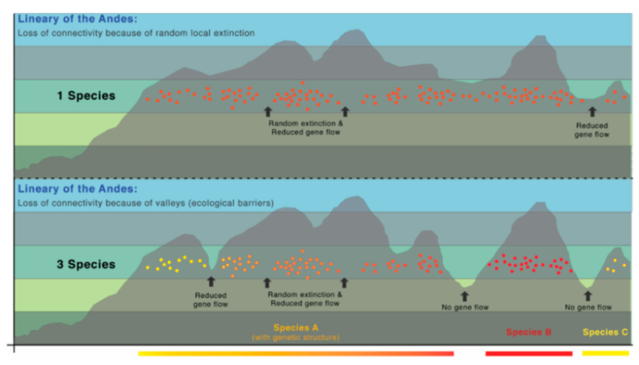 Diversity 12 00222 g233 Diversity 12 00222 g233