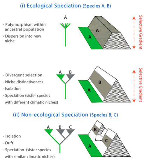 Diversity 12 00222 g234
