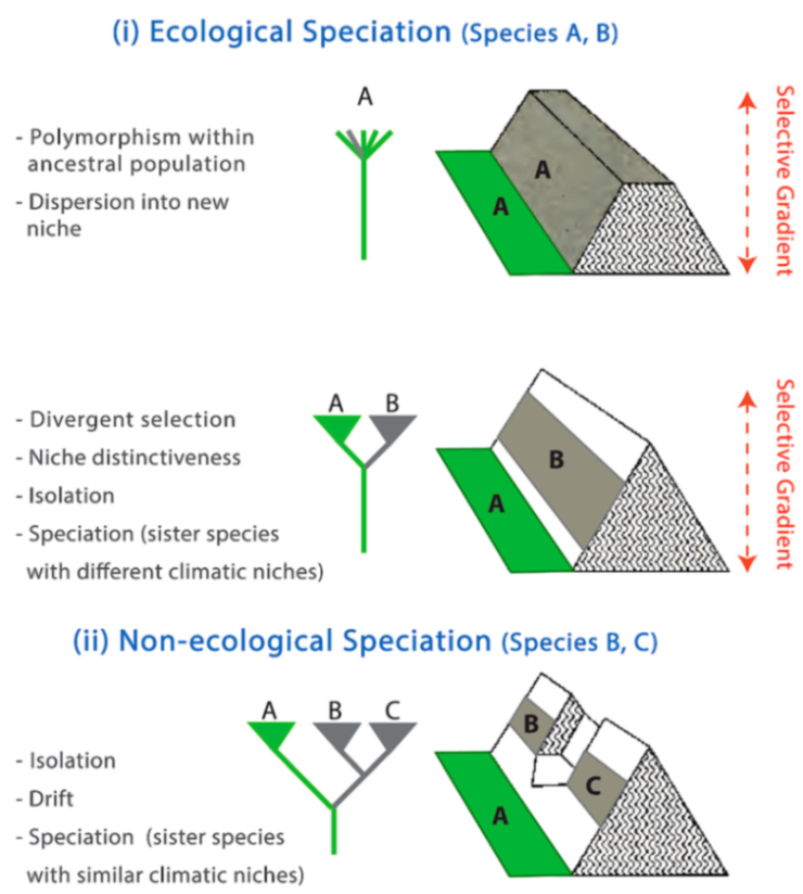 Diversity 12 00222 g234 Diversity 12 00222 g234