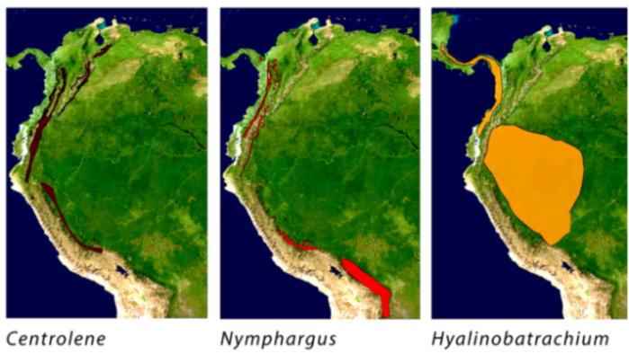 Diversity 12 00222 g235 Diversity 12 00222 g235