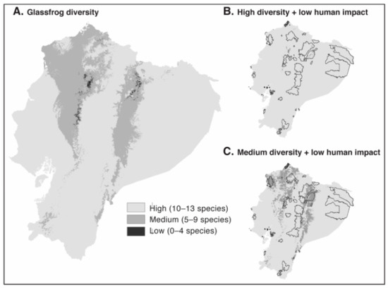 Diversity 12 00222 g237