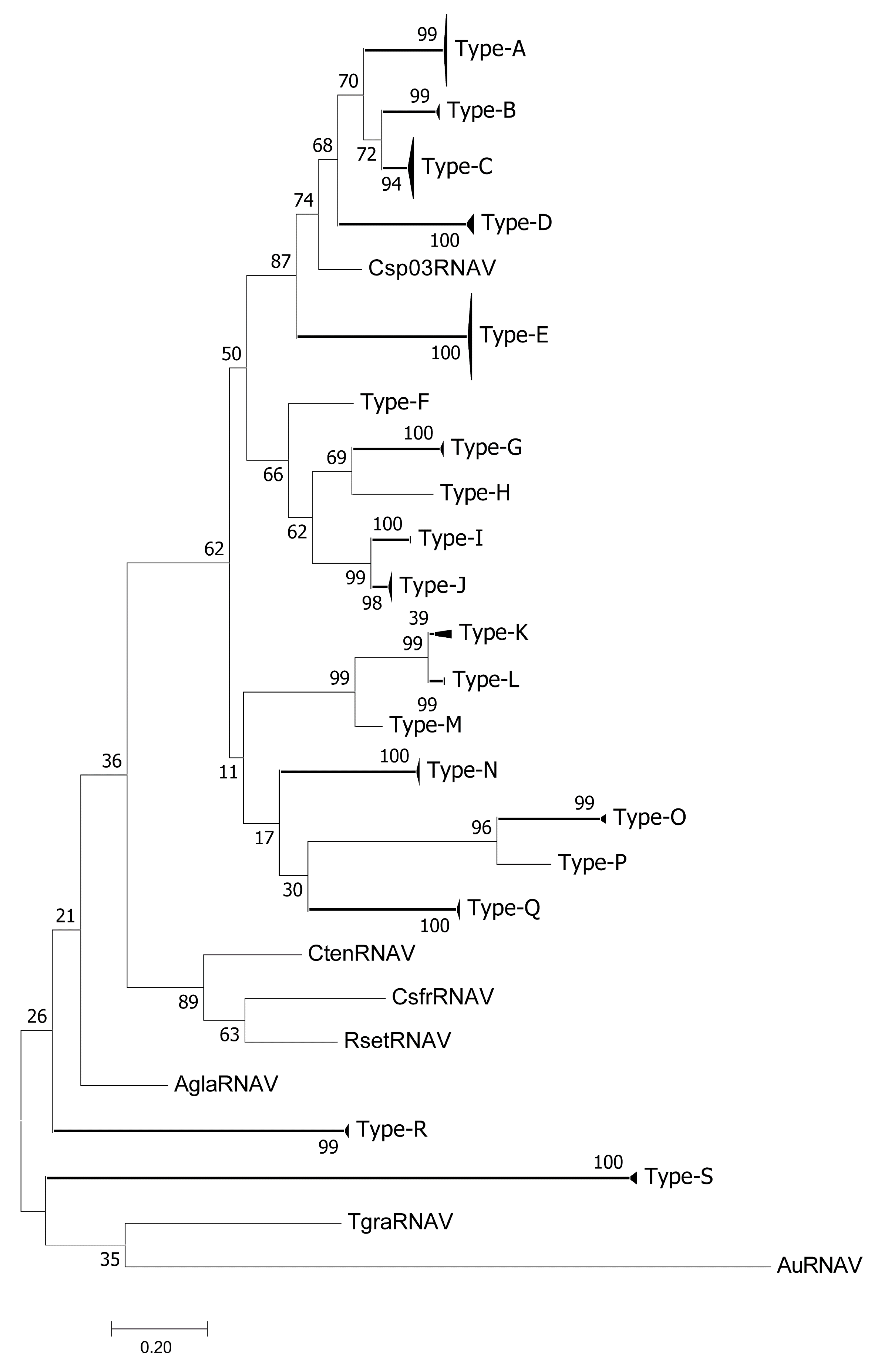 Diversity 12 00225 g001 Diversity 12 00225 g001