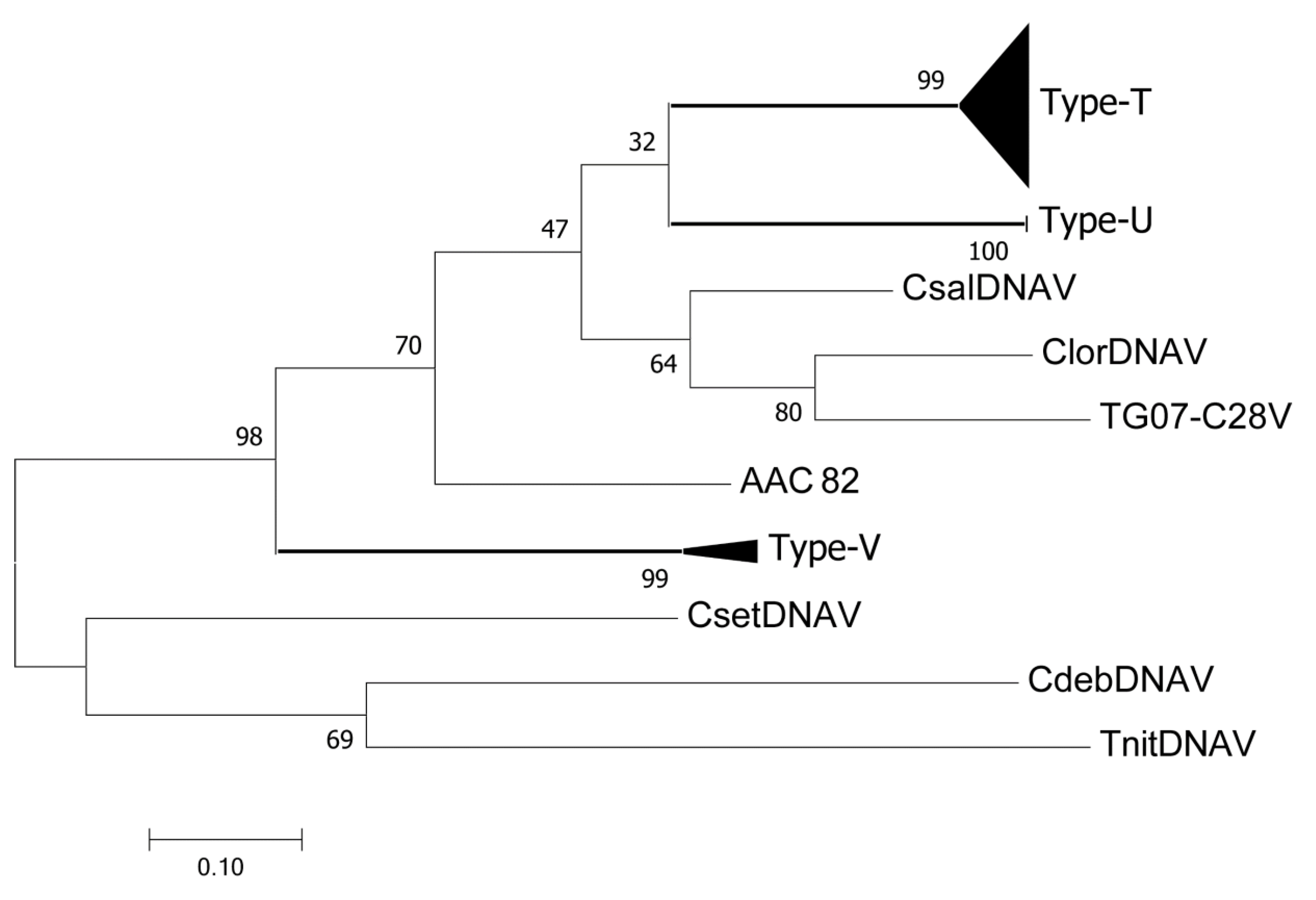 Diversity 12 00225 g002 Diversity 12 00225 g002
