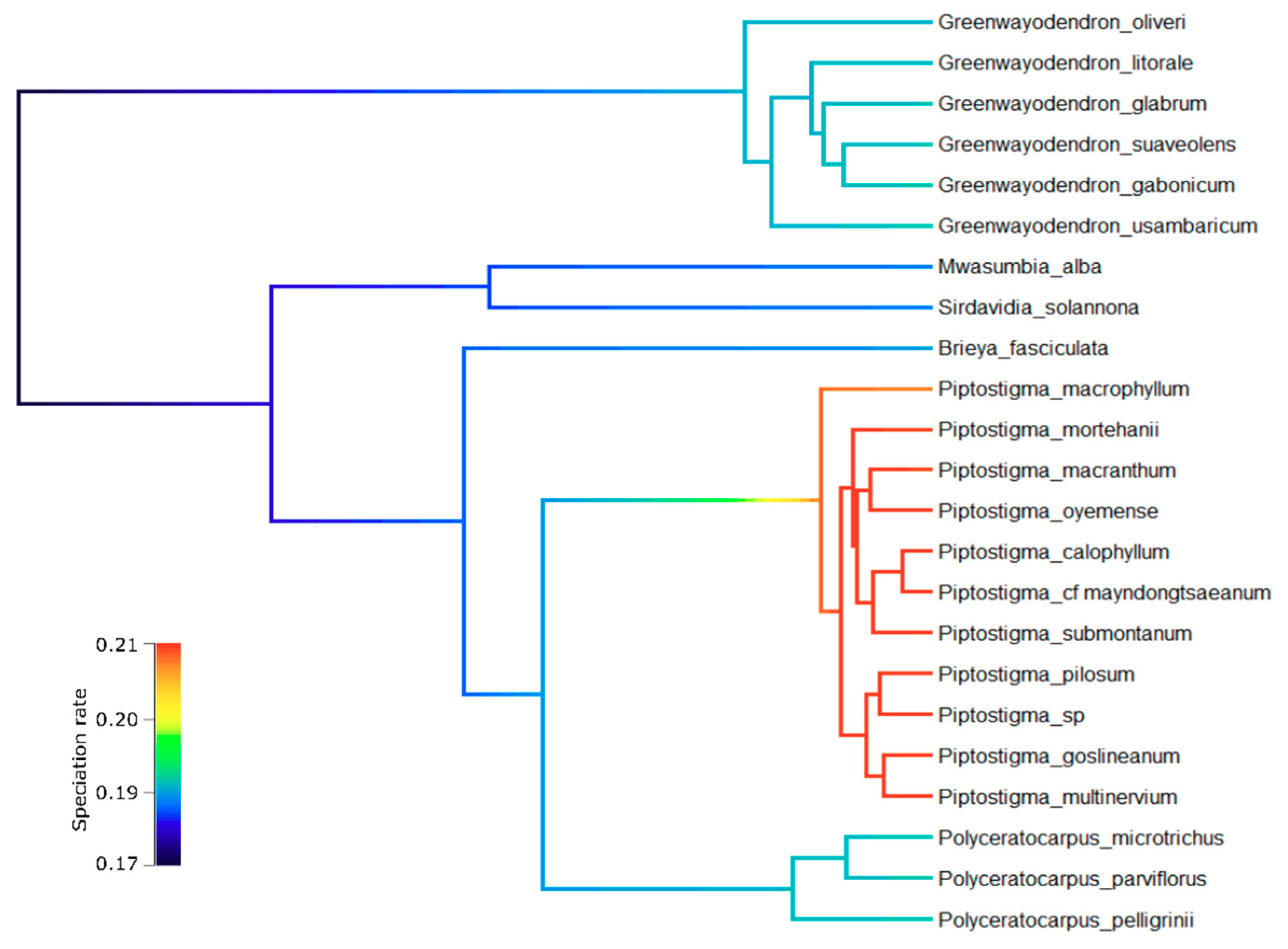Diversity 12 00227 g003