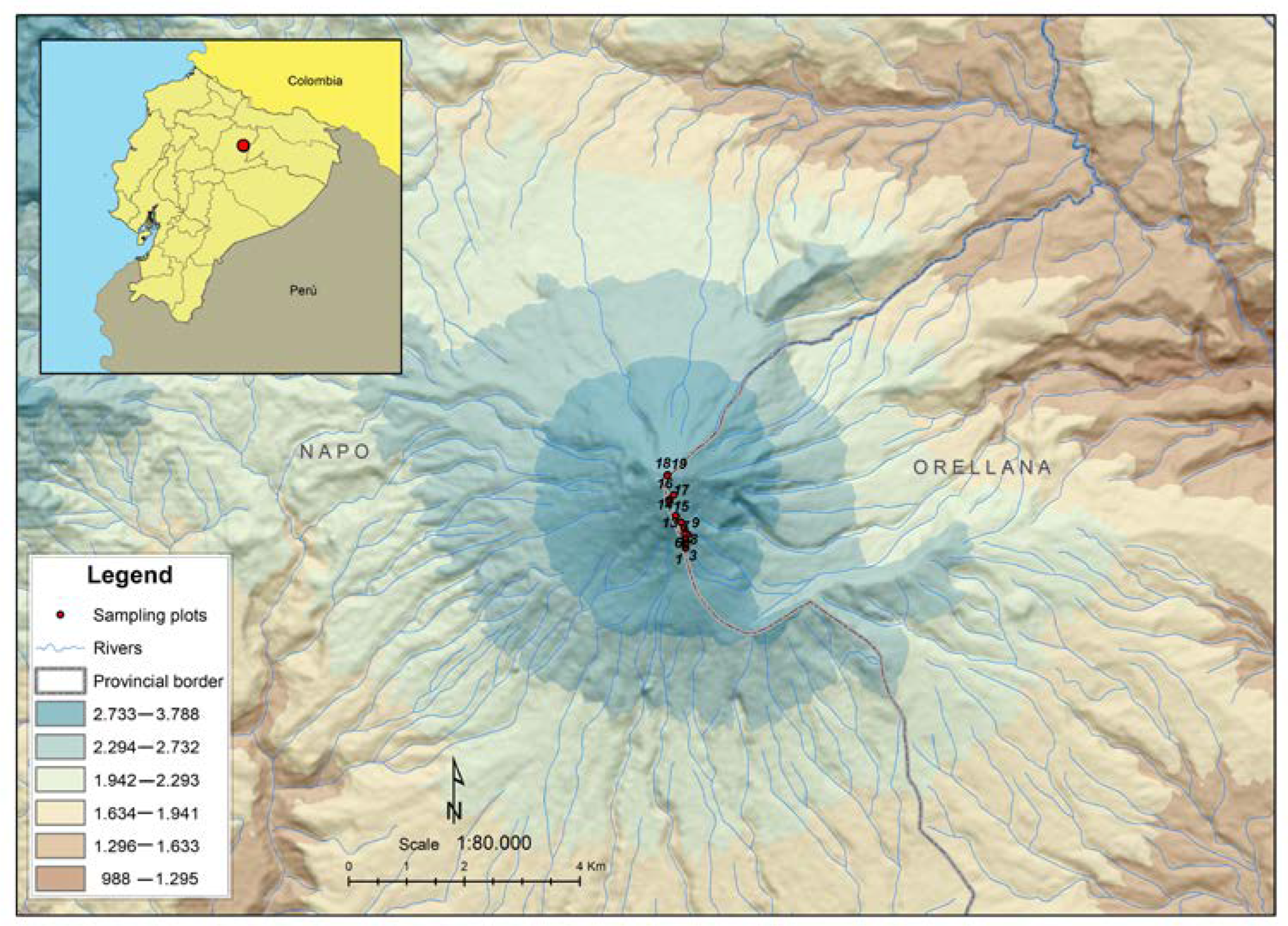 Diversity 12 00229 g001