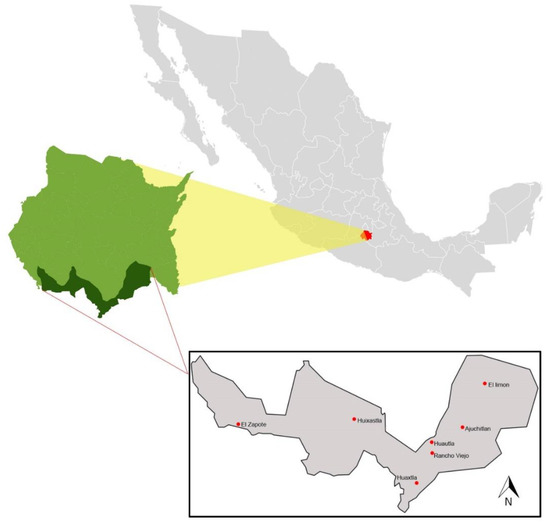 Diversity 12 00231 g0a2