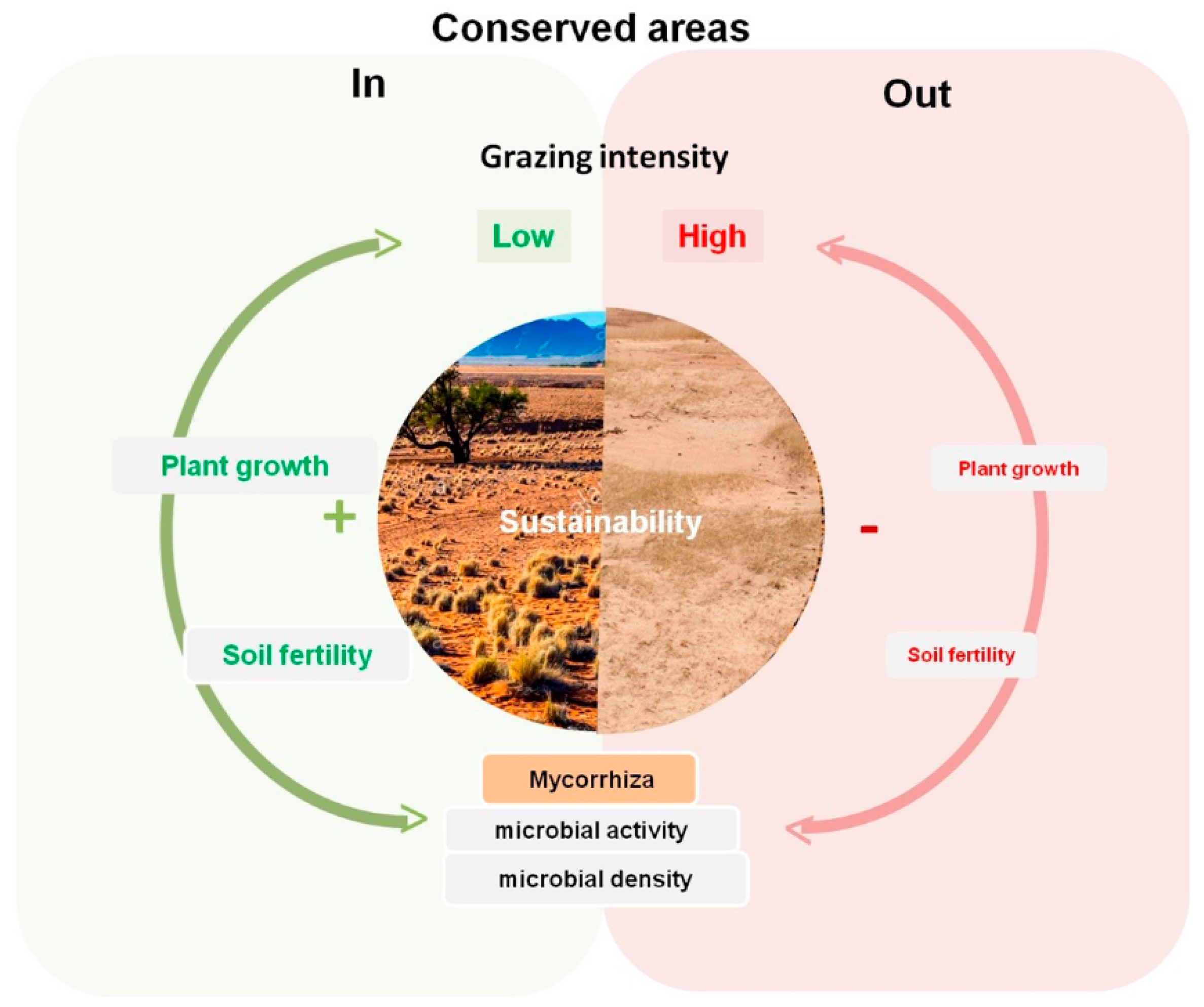 Diversity 12 00234 g008