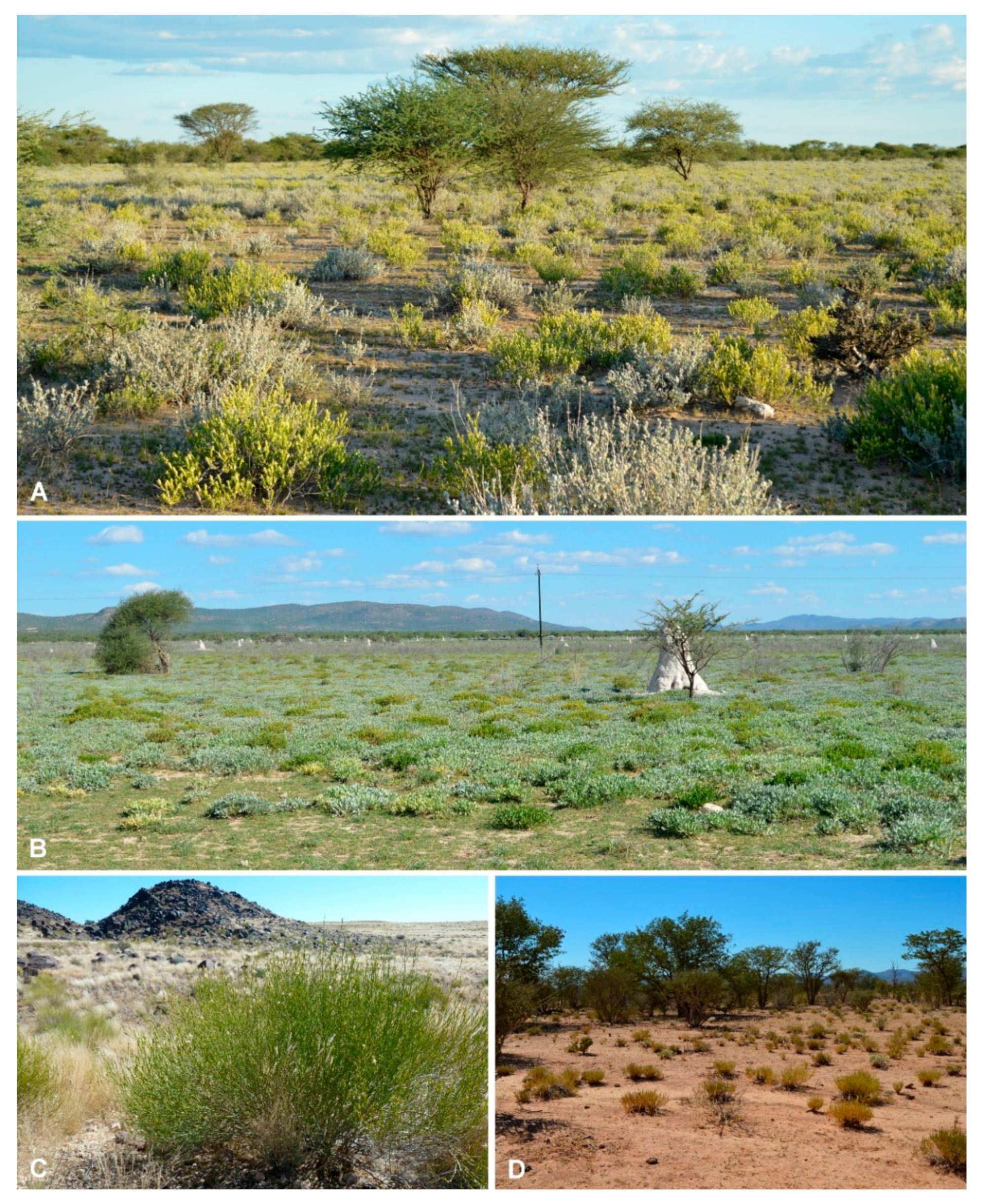 Diversity 12 00237 g003