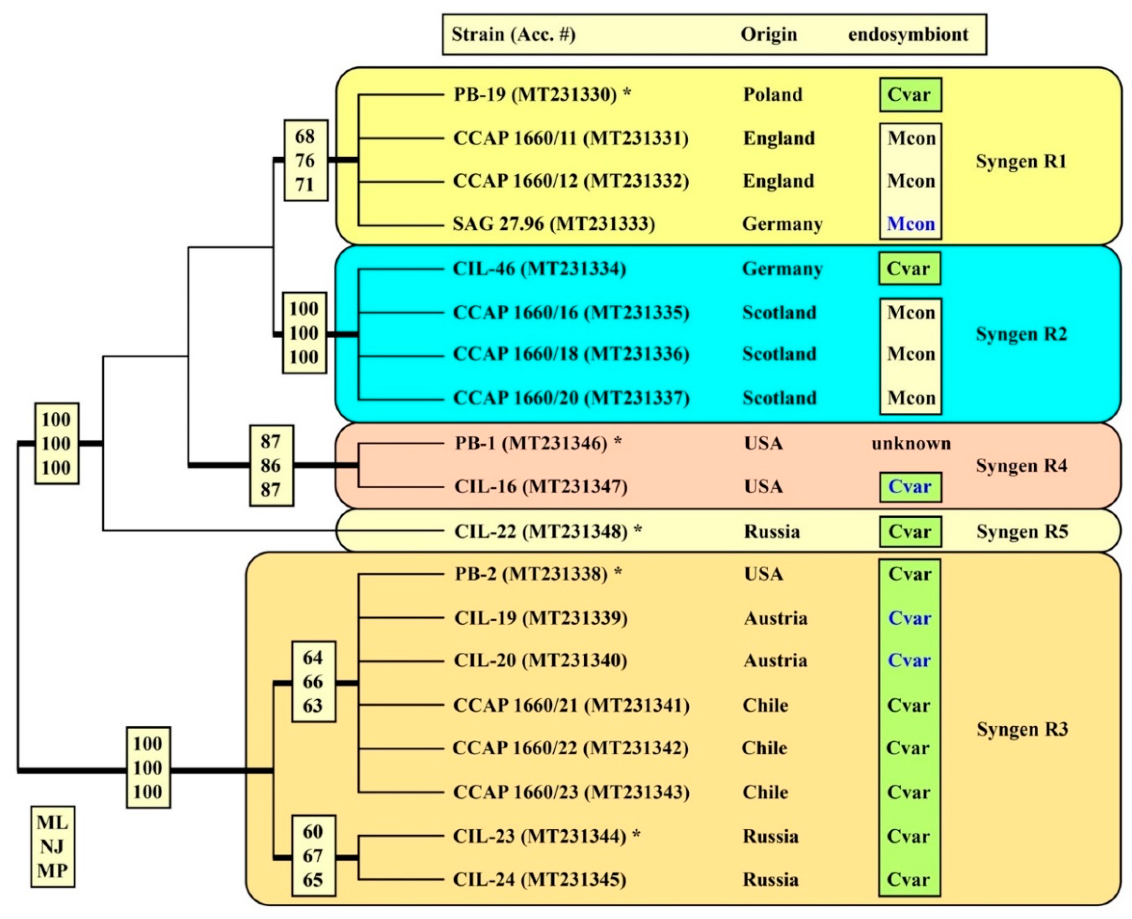 Diversity 12 00240 g005