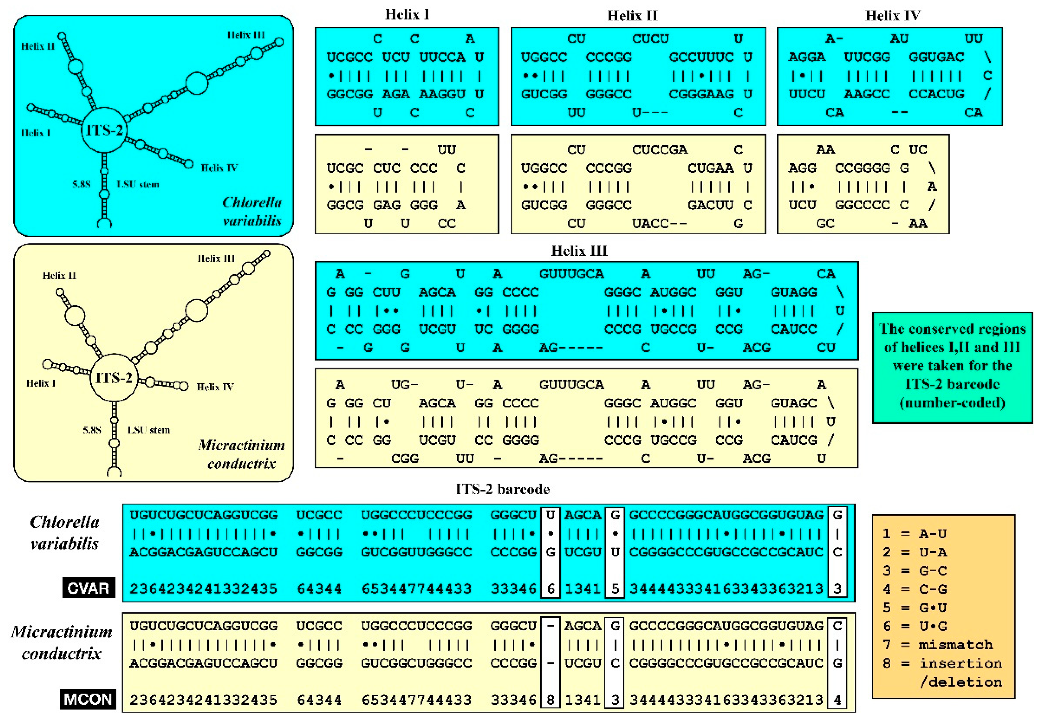 Diversity 12 00240 g006