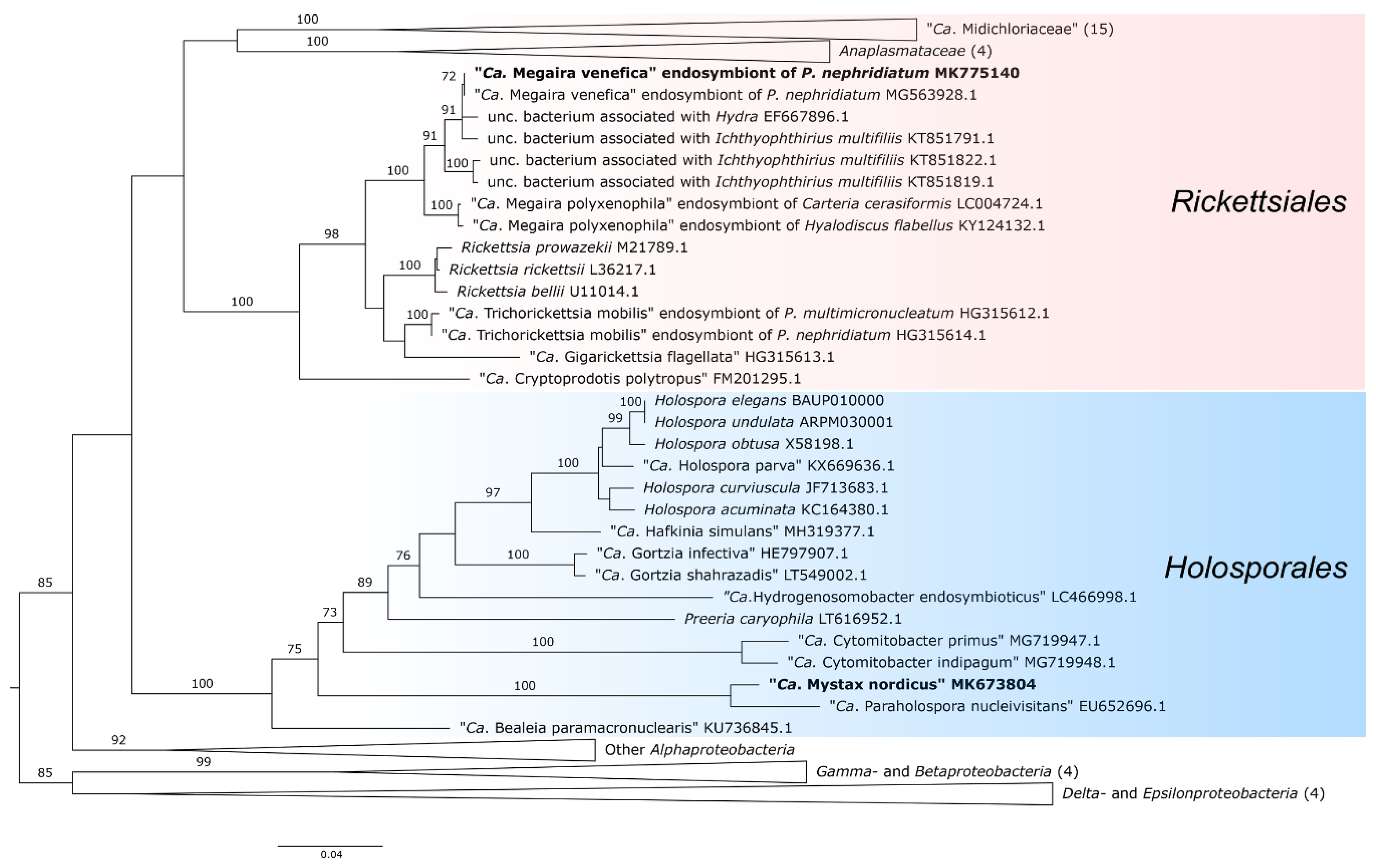 Diversity 12 00251 g006