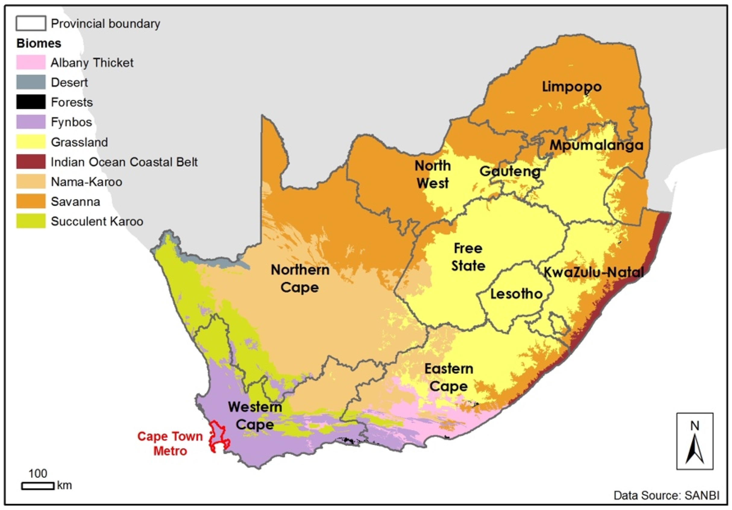 Diversity 12 00254 g001