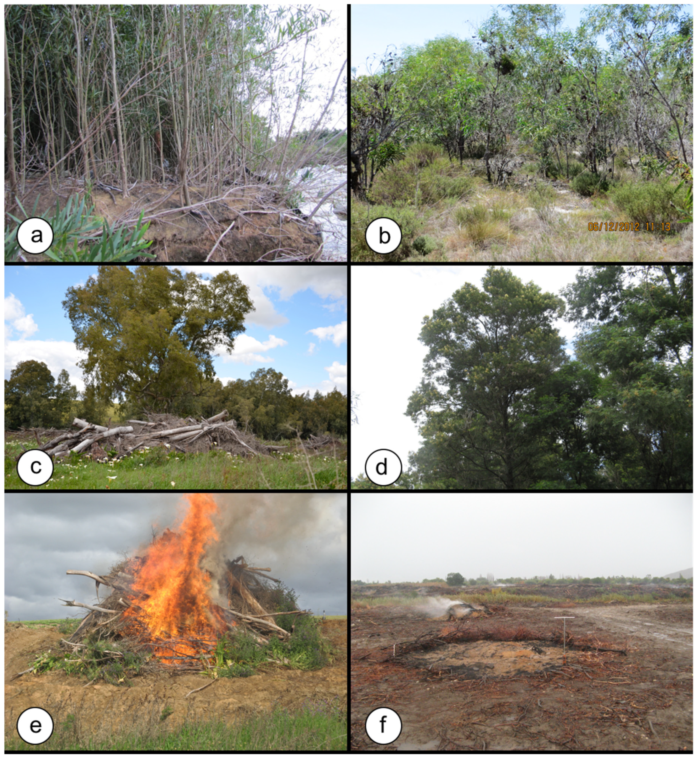 Diversity 12 00254 g005