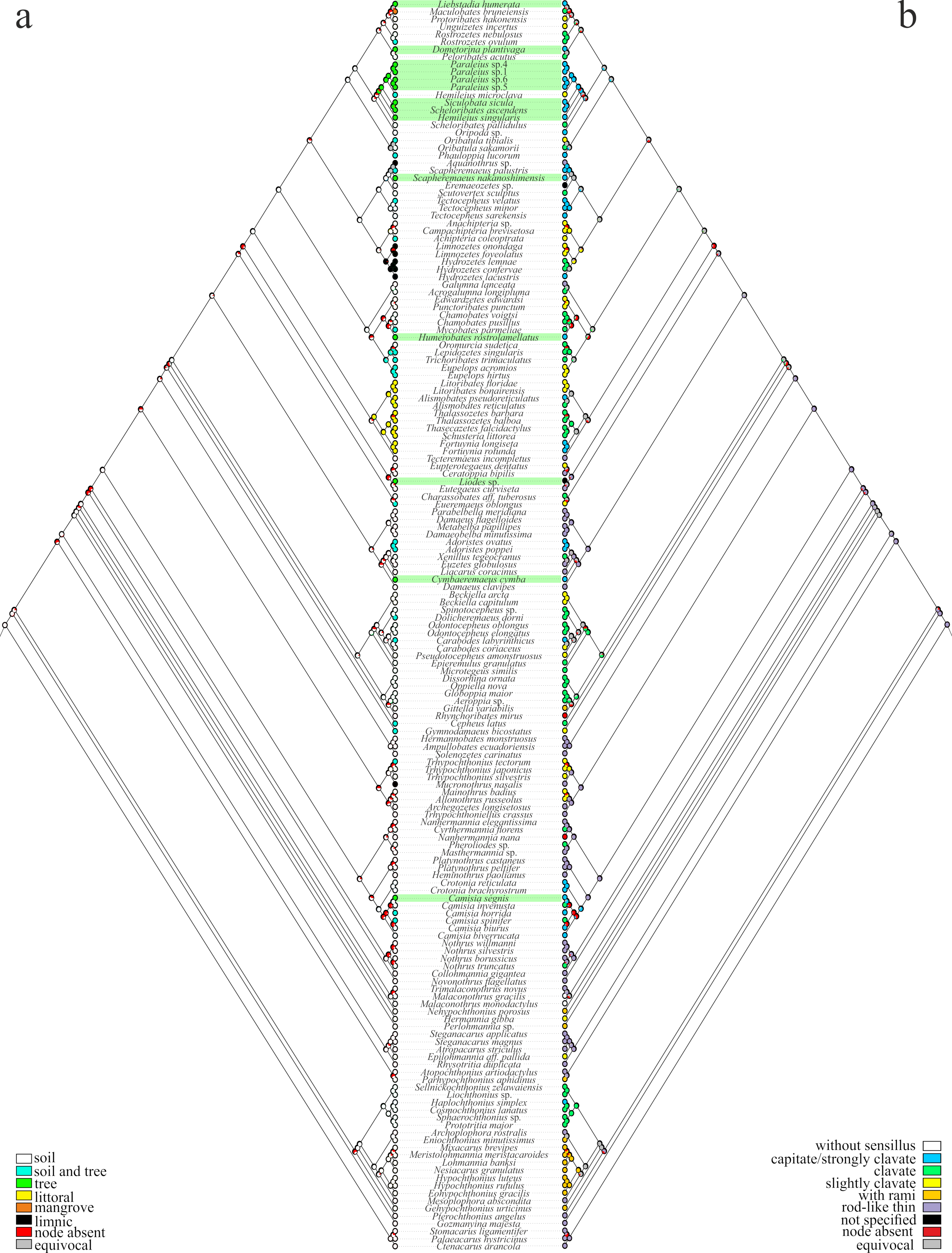 Diversity 12 00255 g003 Diversity 12 00255 g003