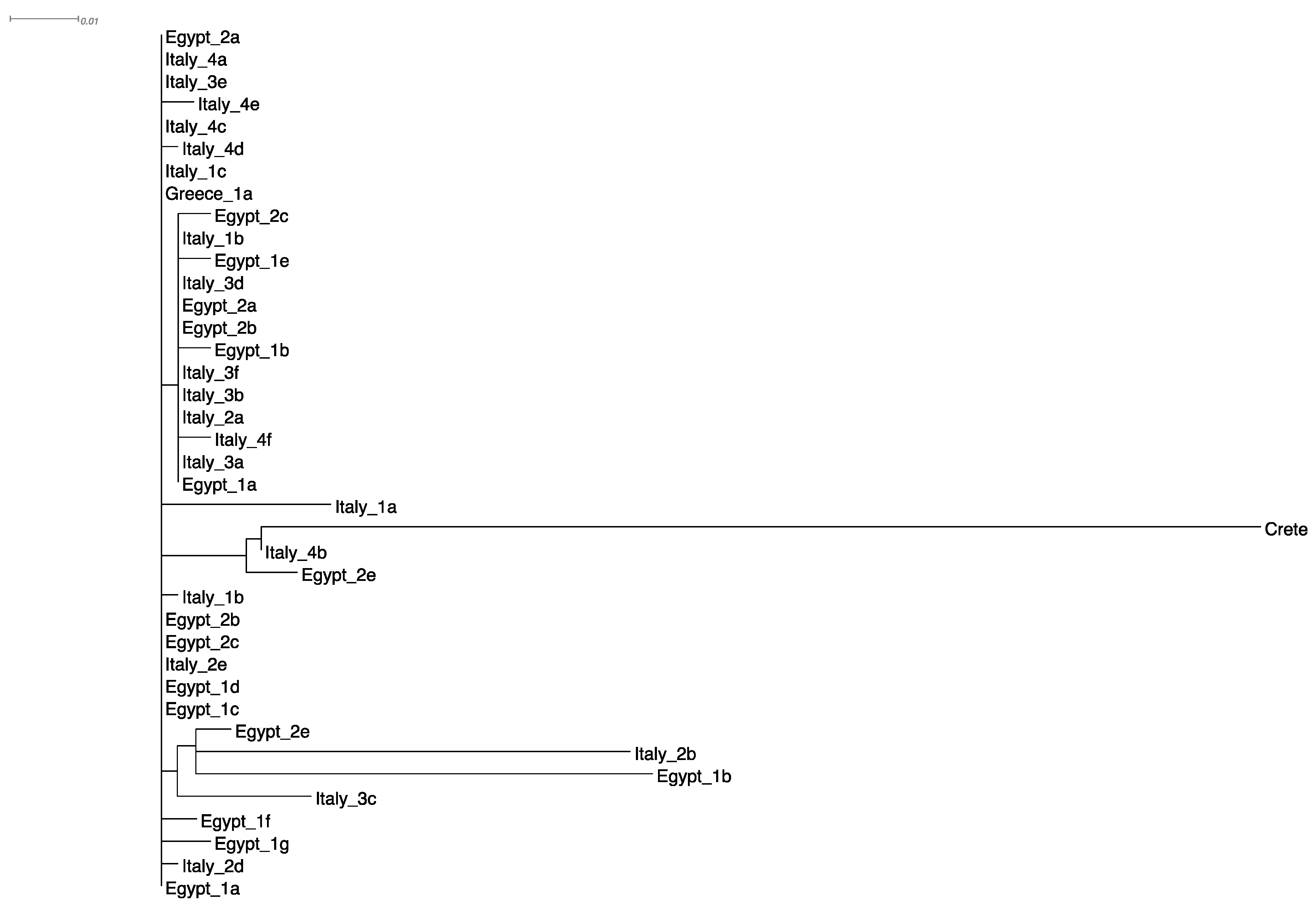 Diversity 12 00263 g002