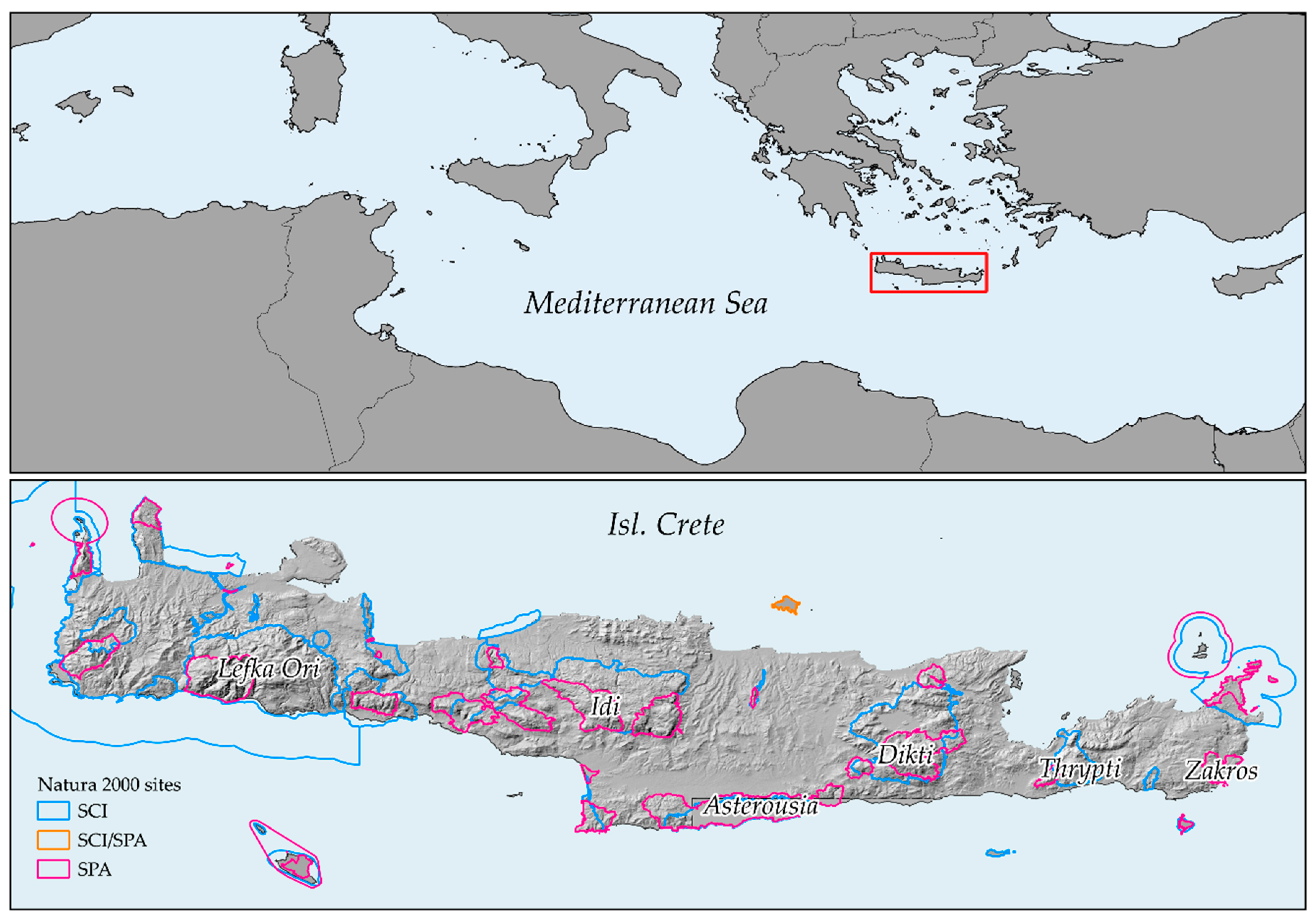 Diversity 12 00270 g001