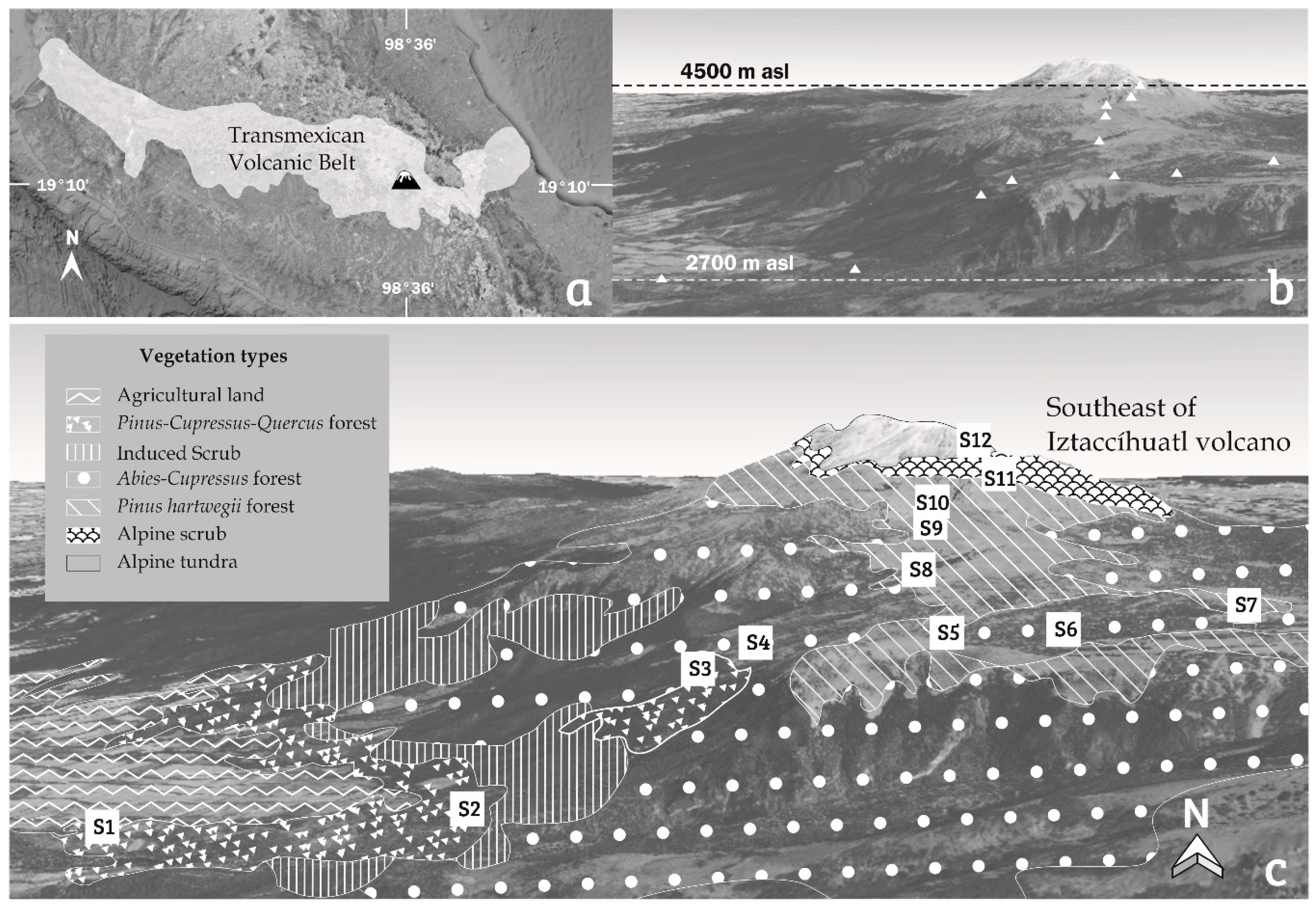 Diversity 12 00271 g001 Diversity 12 00271 g001