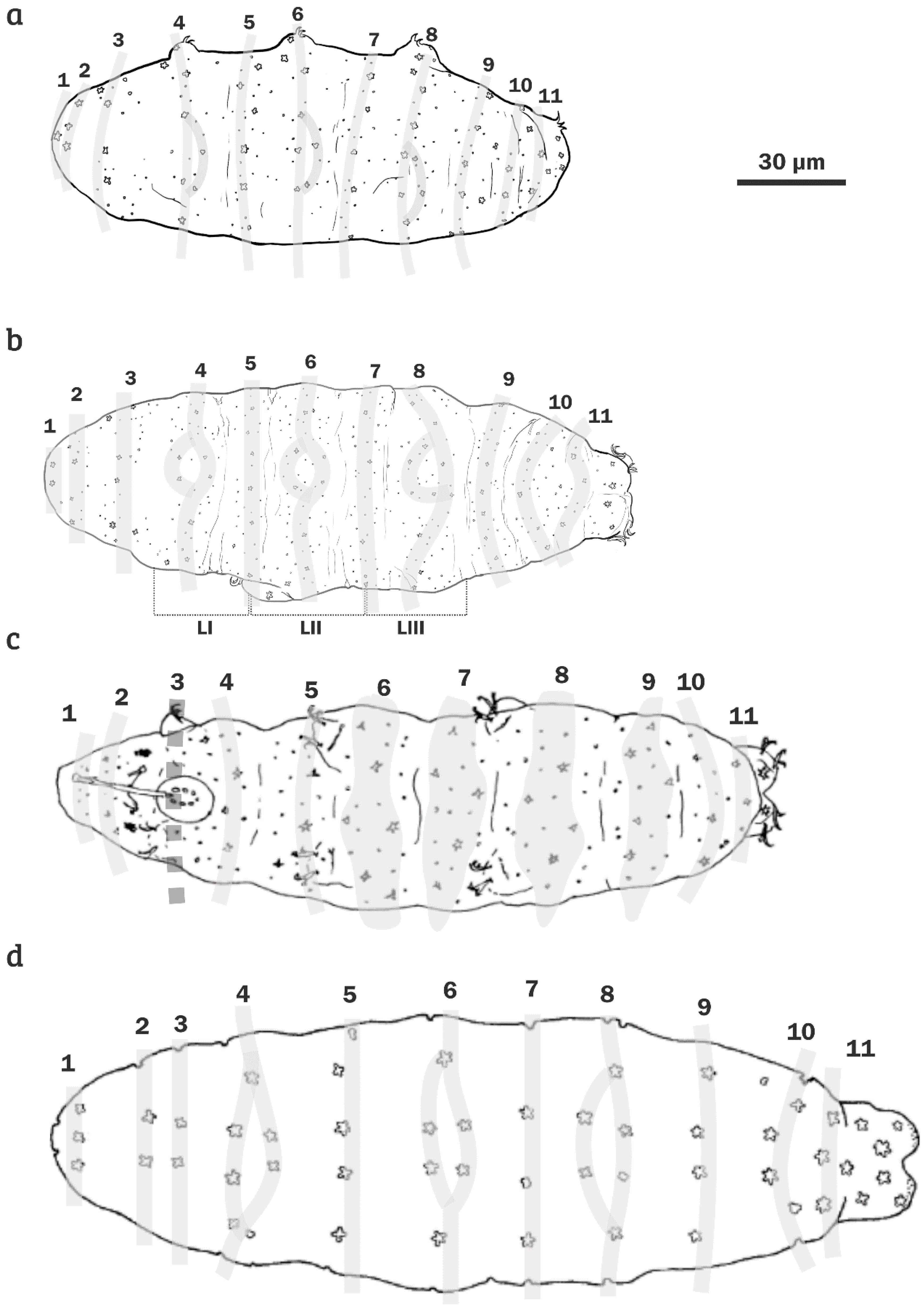 Diversity 12 00271 g009 Diversity 12 00271 g009
