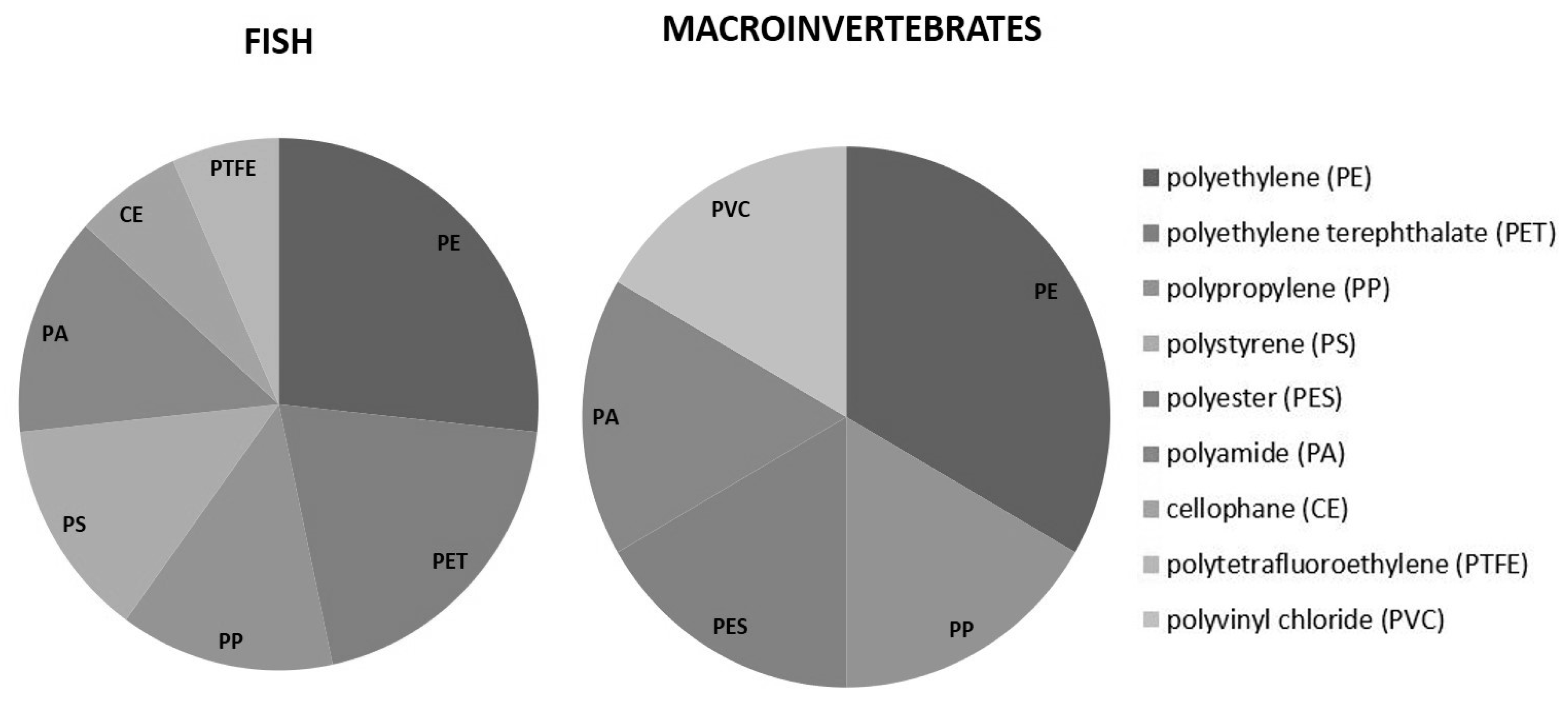 Diversity 12 00276 g009