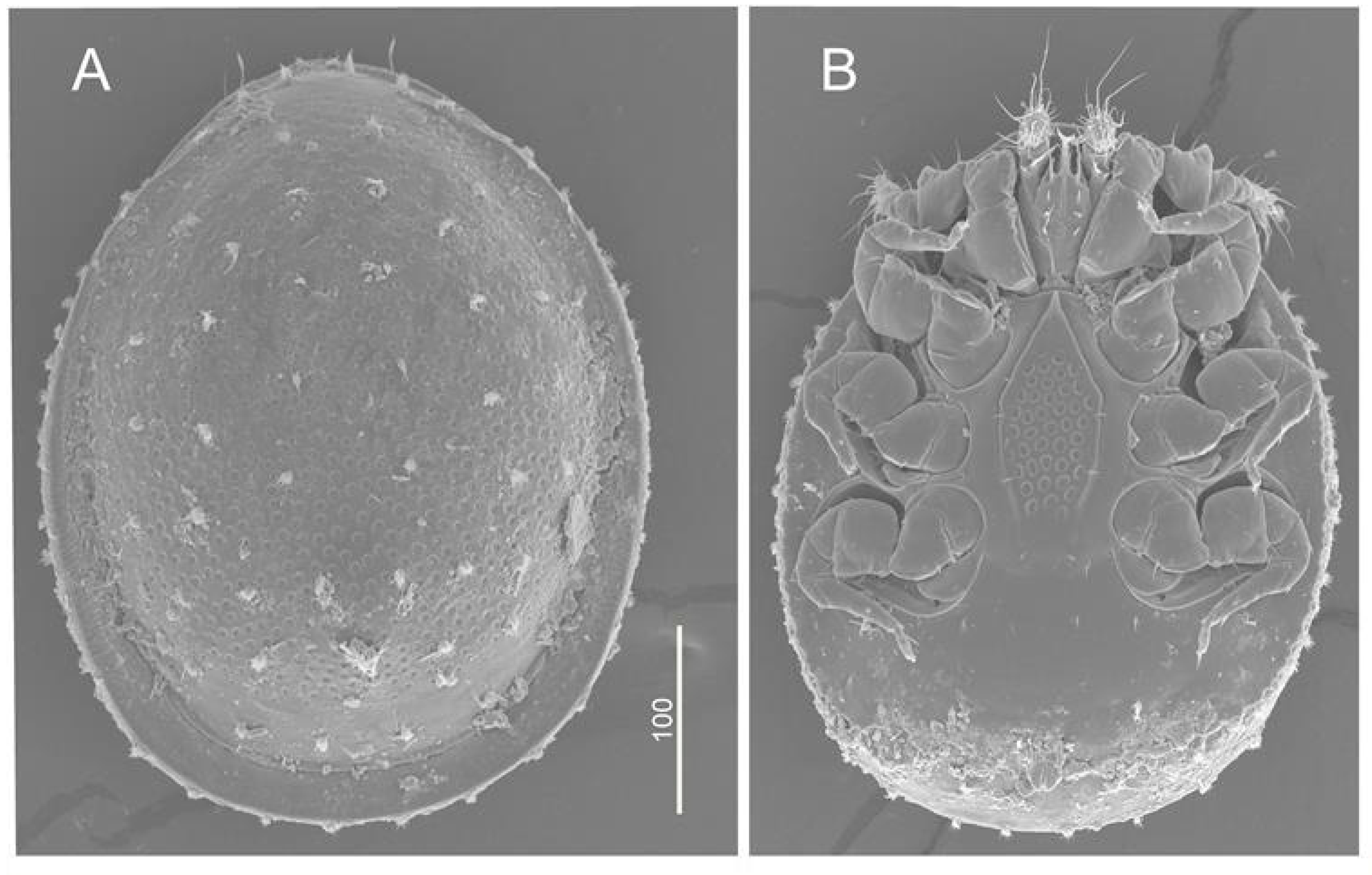 Diversity 12 00283 g010 Diversity 12 00283 g010