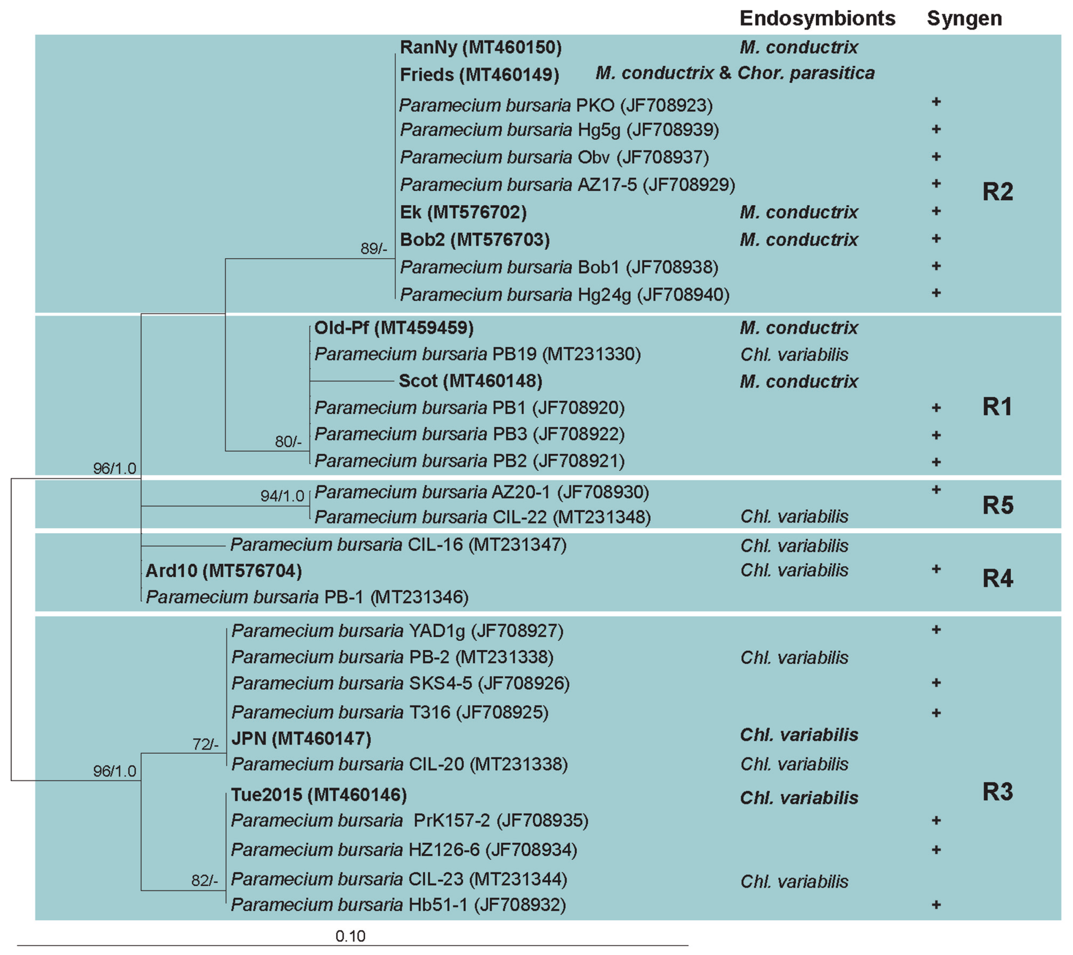Diversity 12 00287 g004