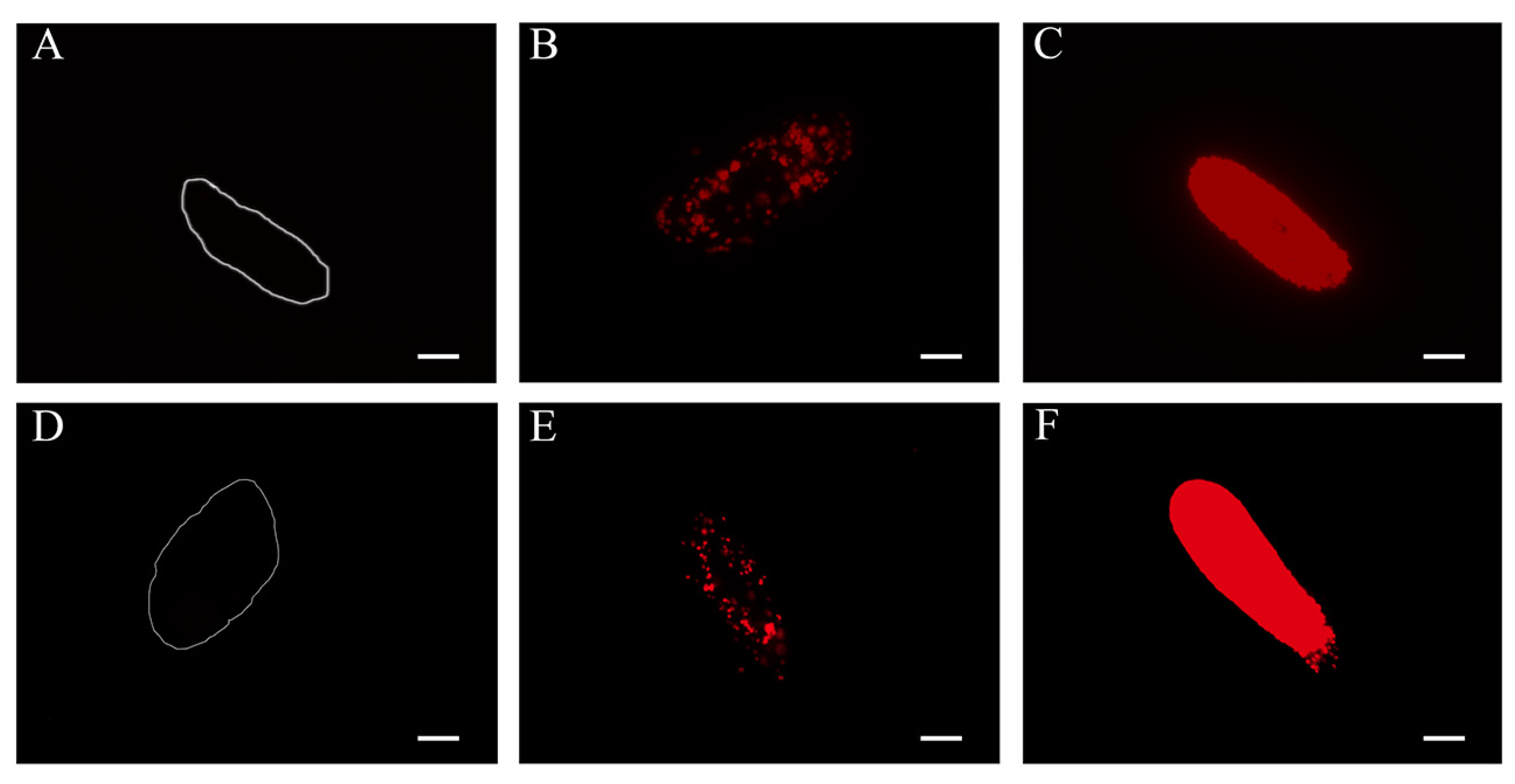 Diversity 12 00287 g007