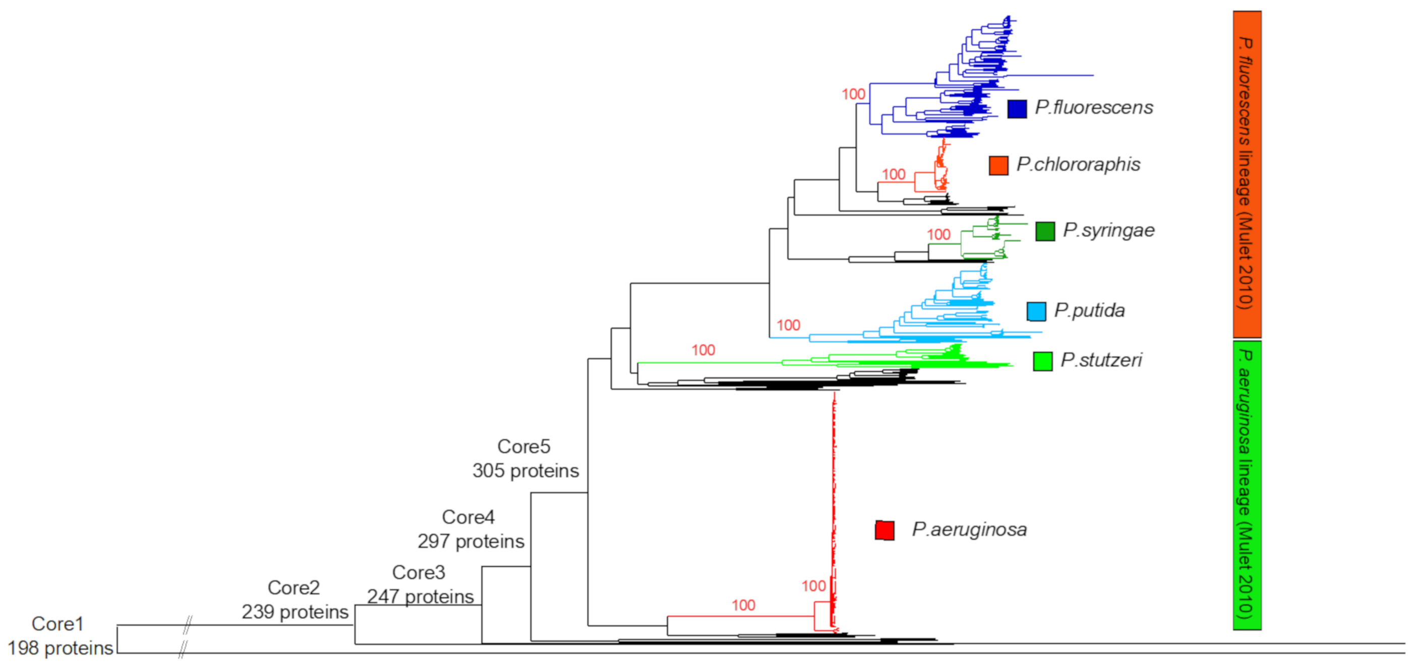 Diversity 12 00289 g002