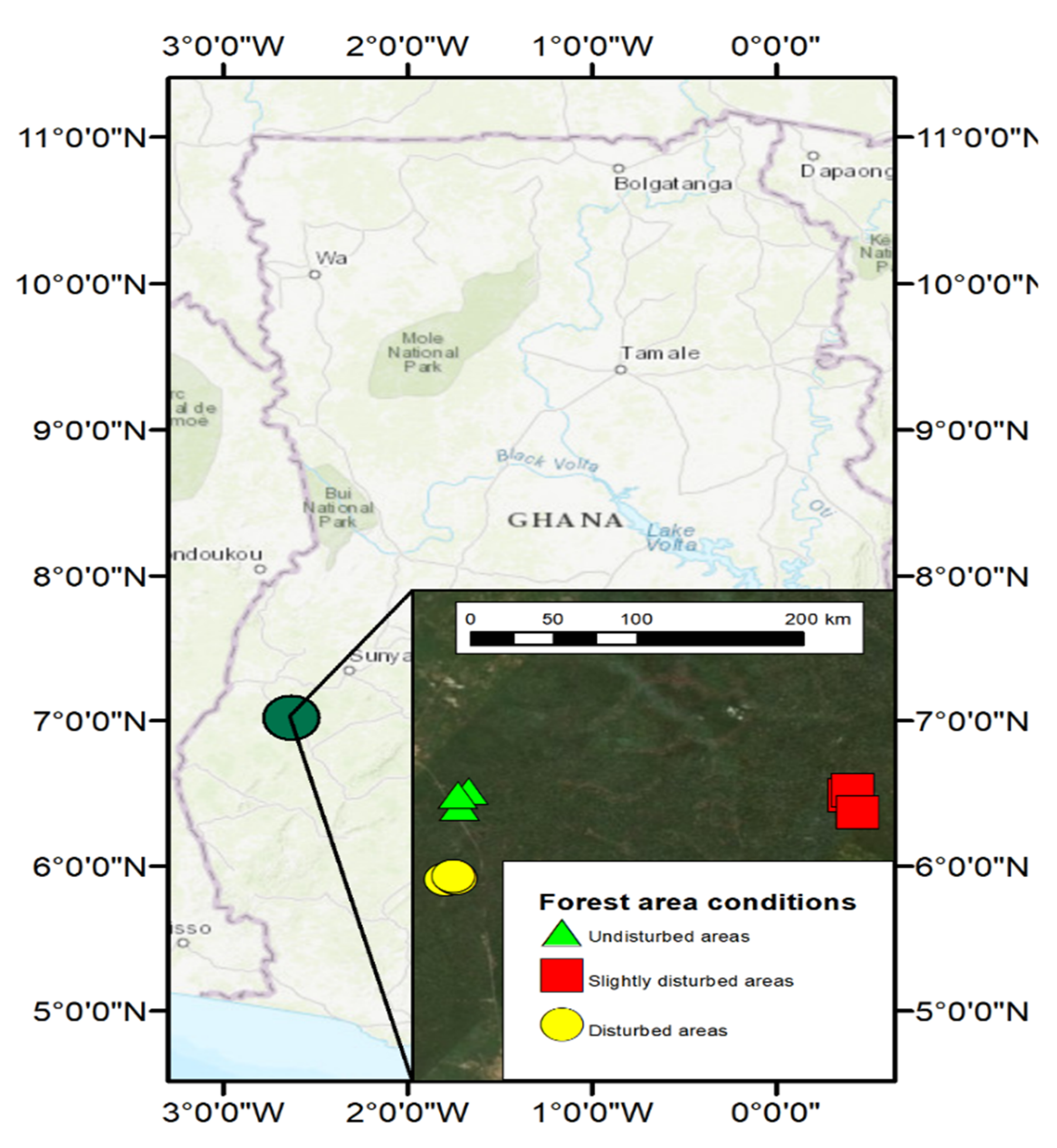 Diversity 12 00301 g001