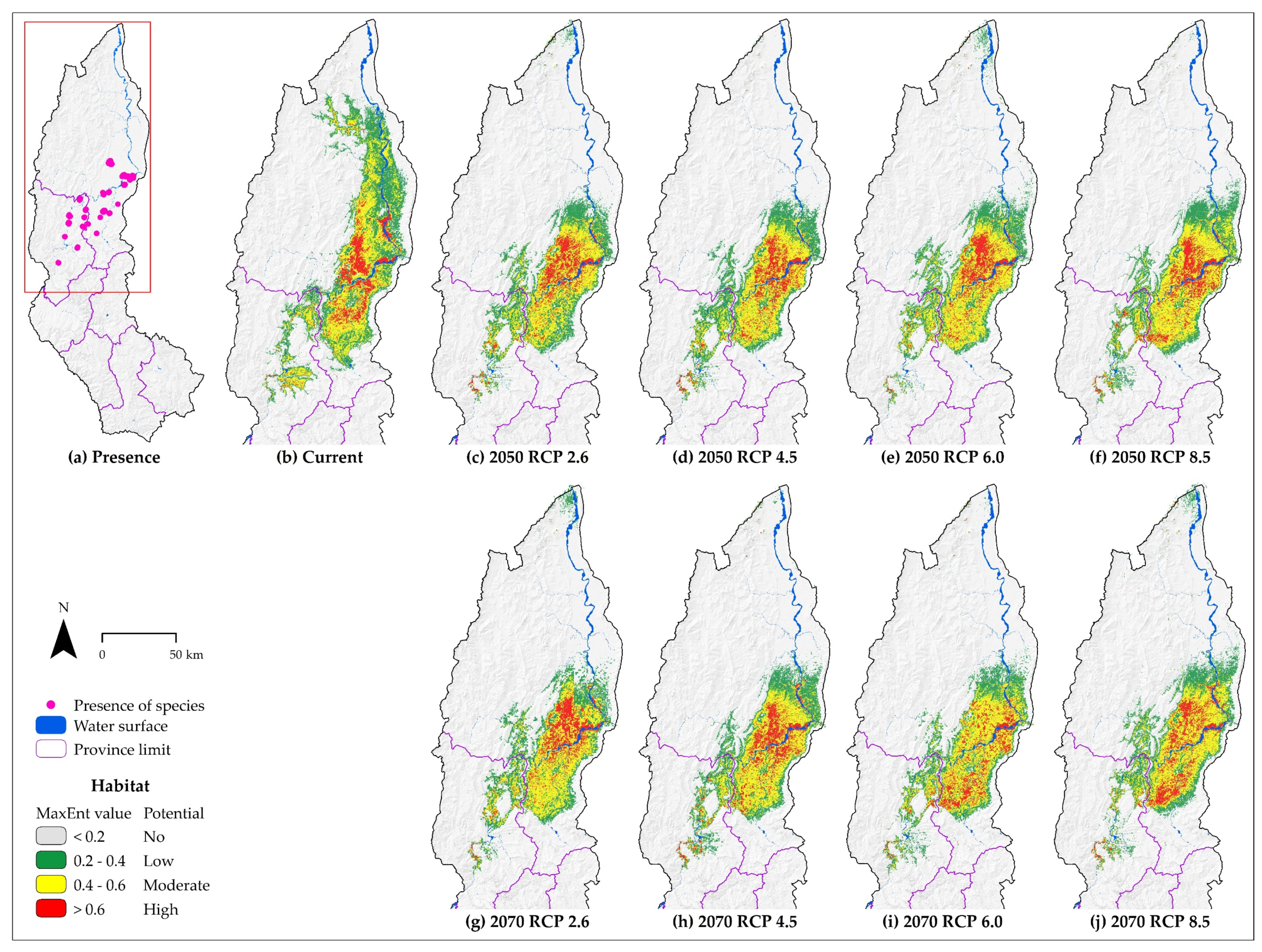 Diversity 12 00305 g004 Diversity 12 00305 g004
