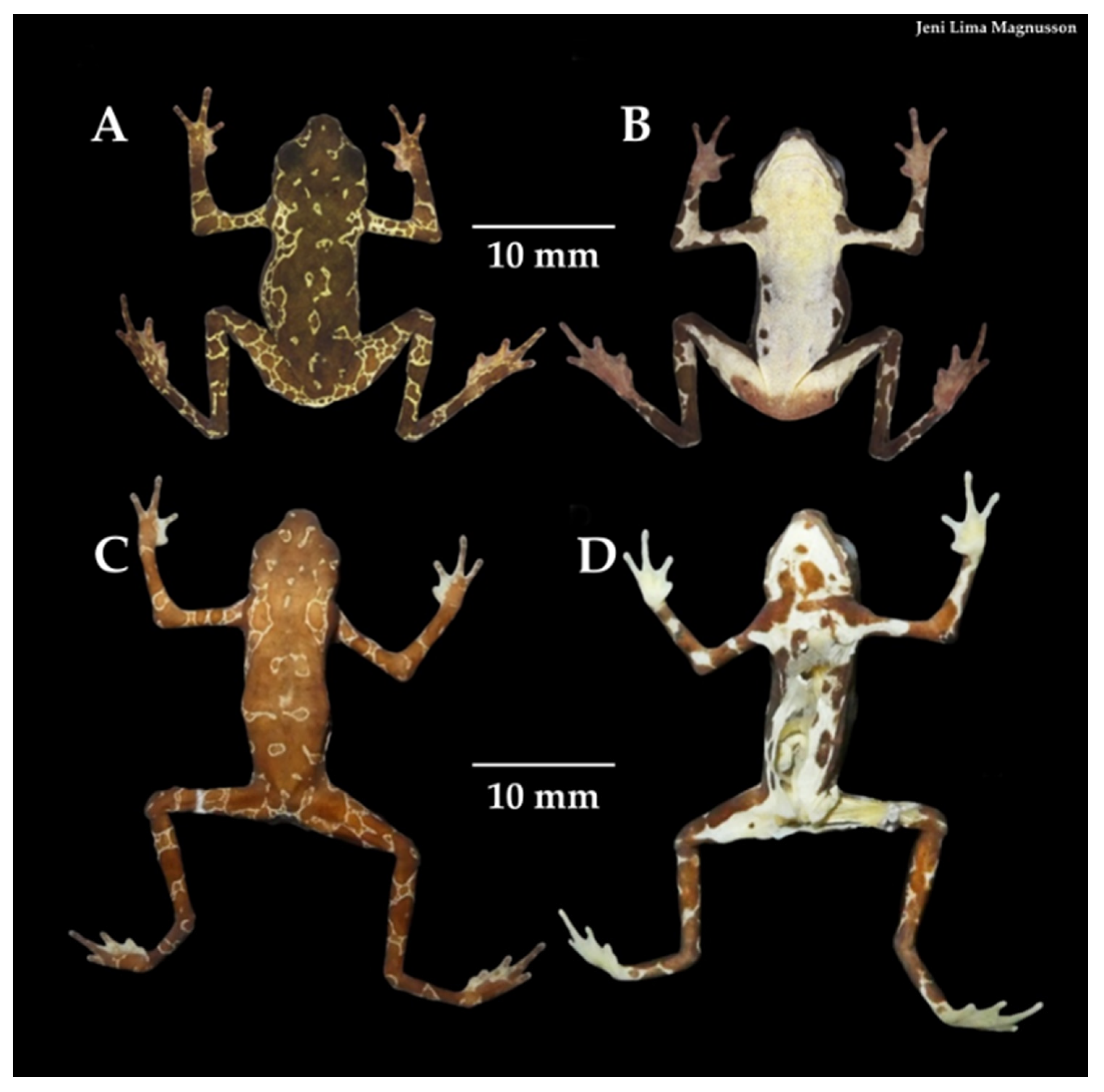 Diversity 12 00310 g003