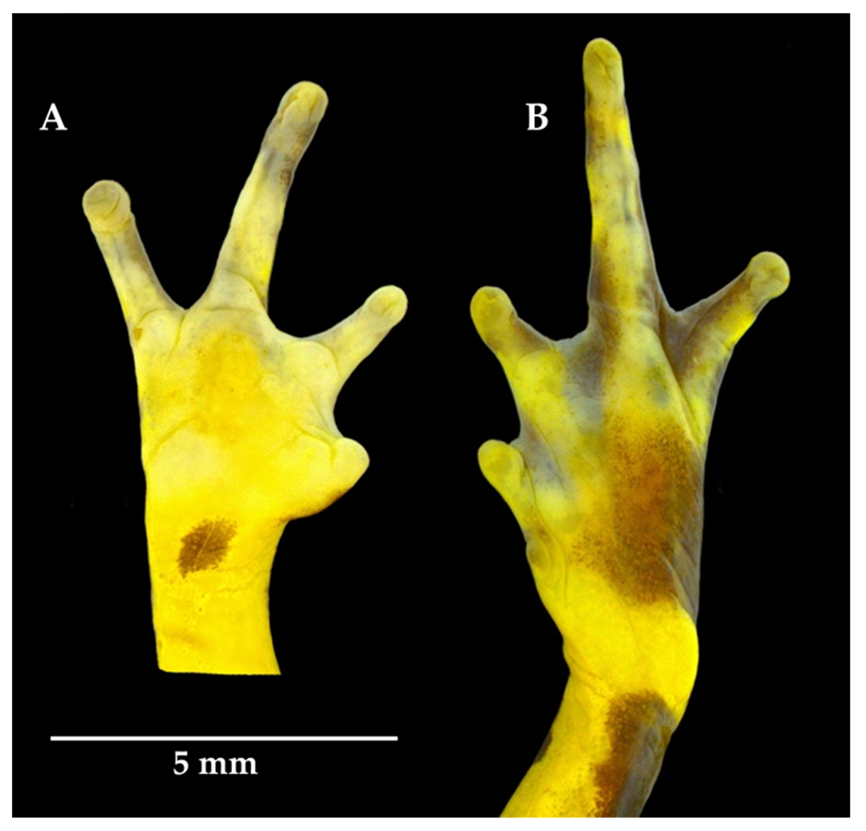 Diversity 12 00310 g008