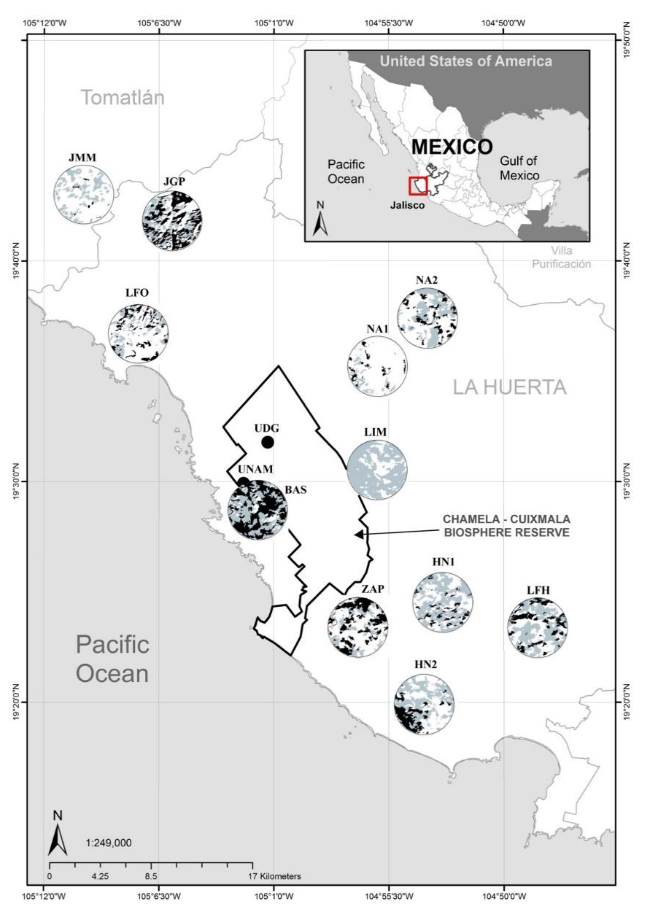 Diversity 12 00332 g001 Diversity 12 00332 g001