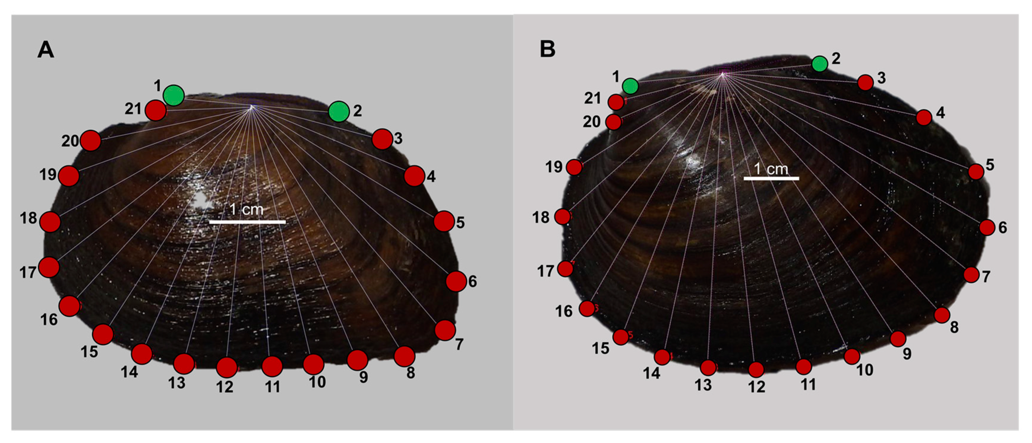 Diversity 12 00337 g001 Diversity 12 00337 g001
