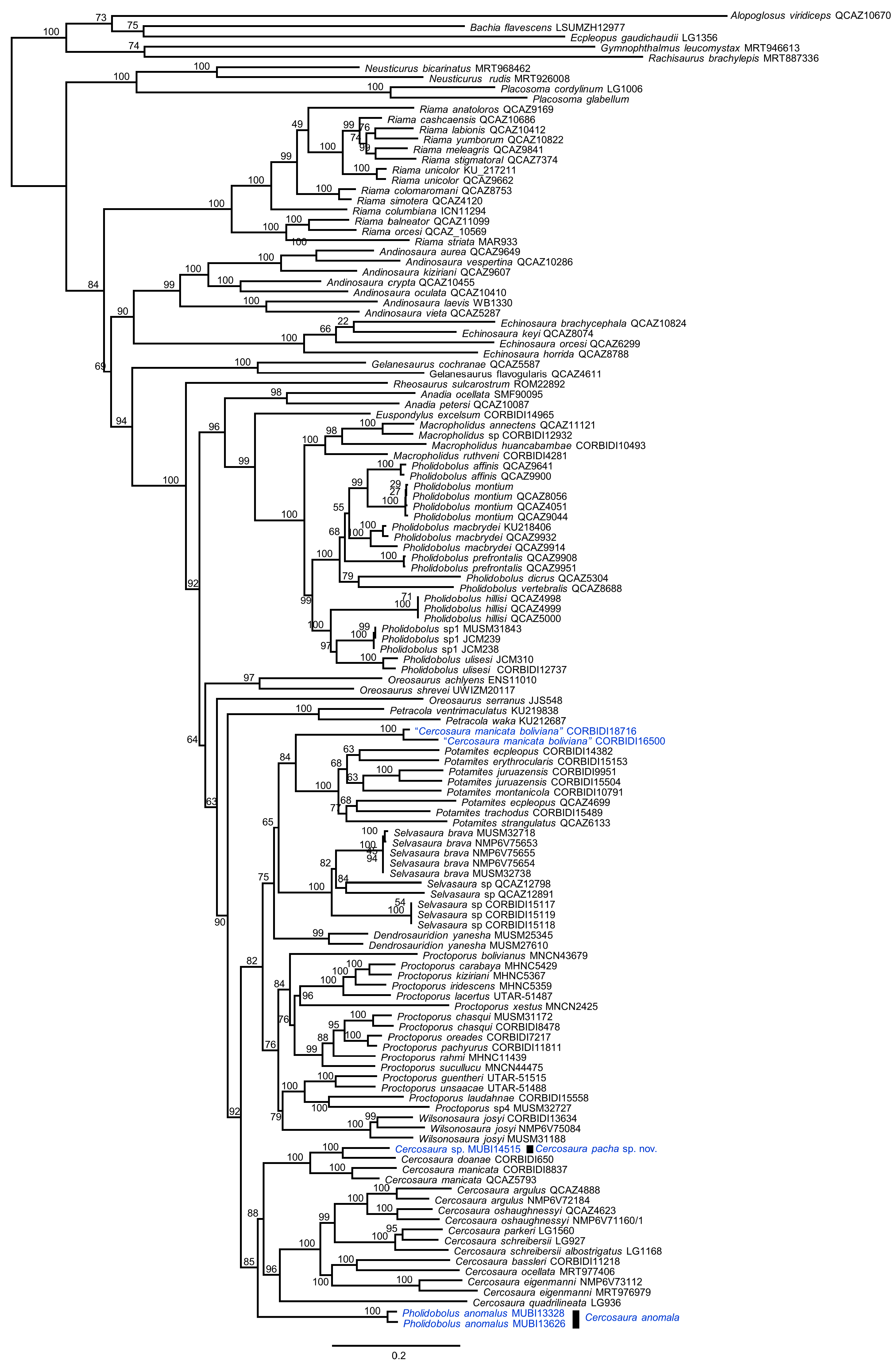 Diversity 12 00361 g002