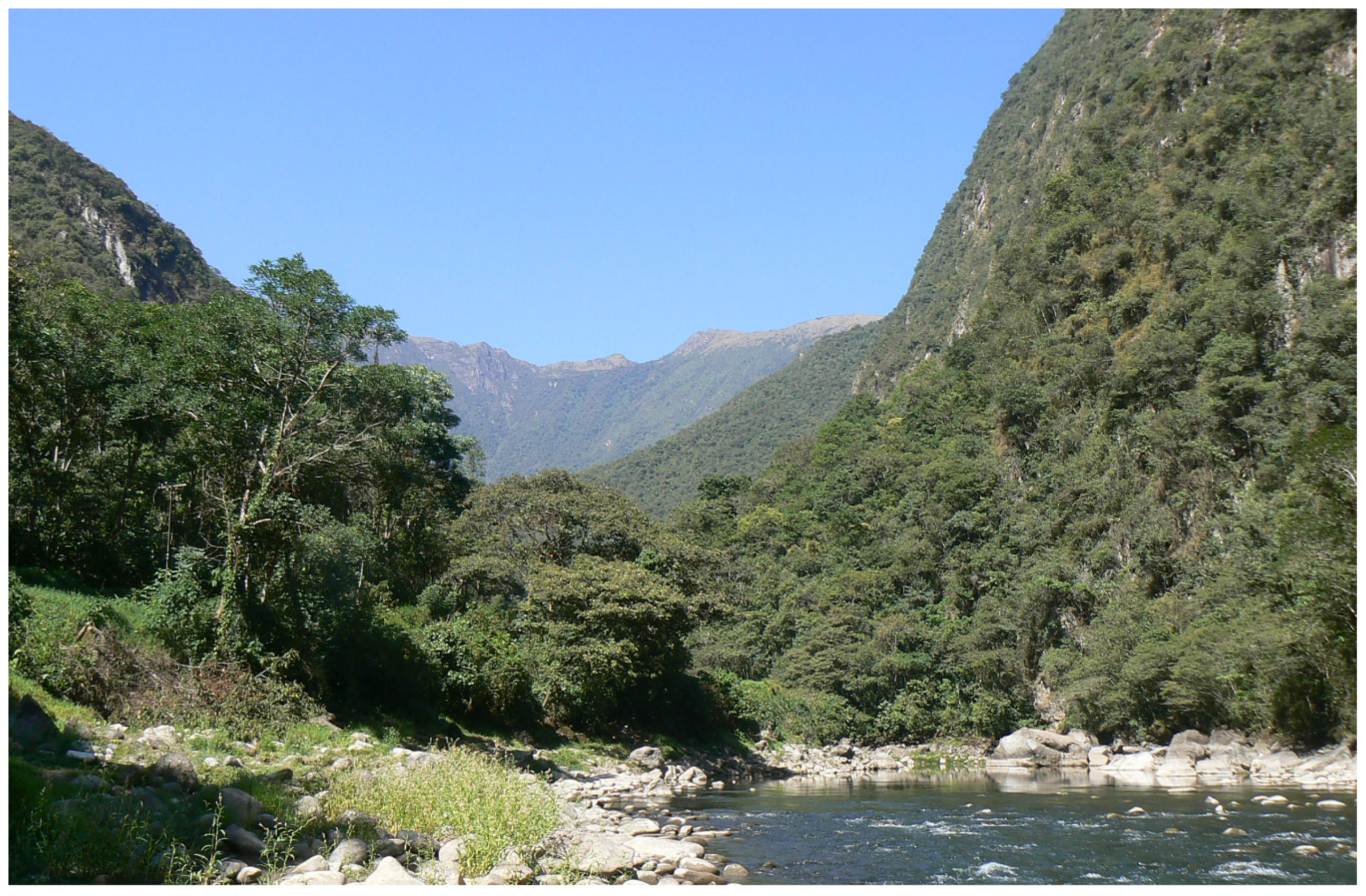 Diversity 12 00361 g005